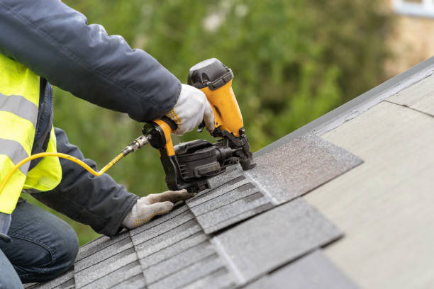 Best Steel Roofing  in Ocklawaha, FL