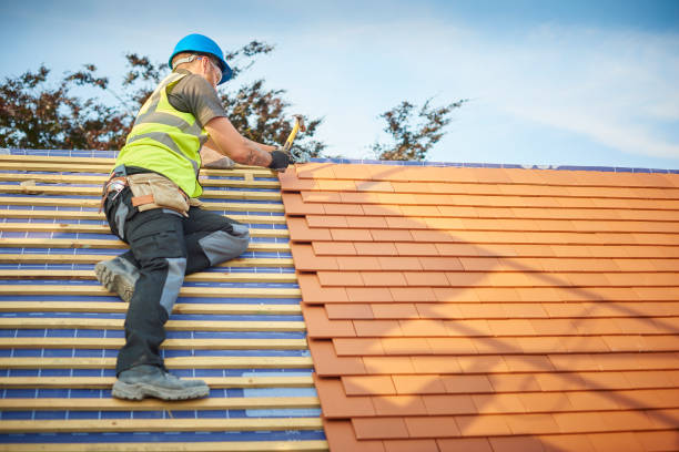 Best Metal Roofing Installation  in Ocklawaha, FL